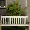 Benk - England 152x63x89cm Teak