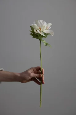 Blomst - Anemone H43cm Rosa