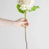 Blomst - Hortensia H55cm Hvit