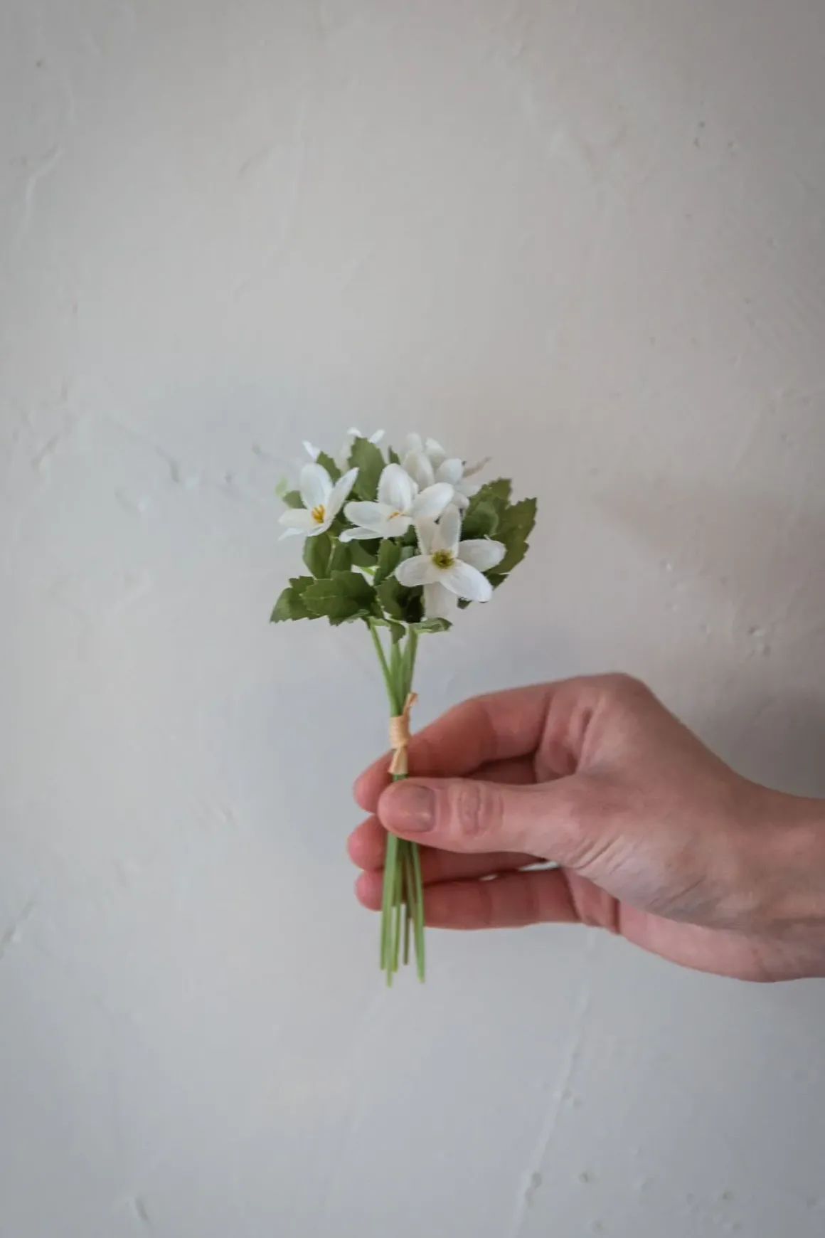 Blomst - Hvitveis H18cm