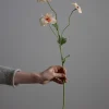 Blomst - Japansk Ranunkel H62cm