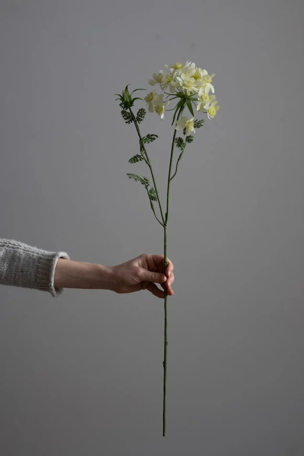 Blomst - Kjørvel H73cm