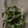 Blomst - Lavendel H70cm Hvit