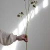 Blomst - Leucocoryne H89cm Grønn