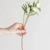 Blomst - Pion H45cm Hvit