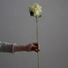 Blomst - Ranunkel H60cm