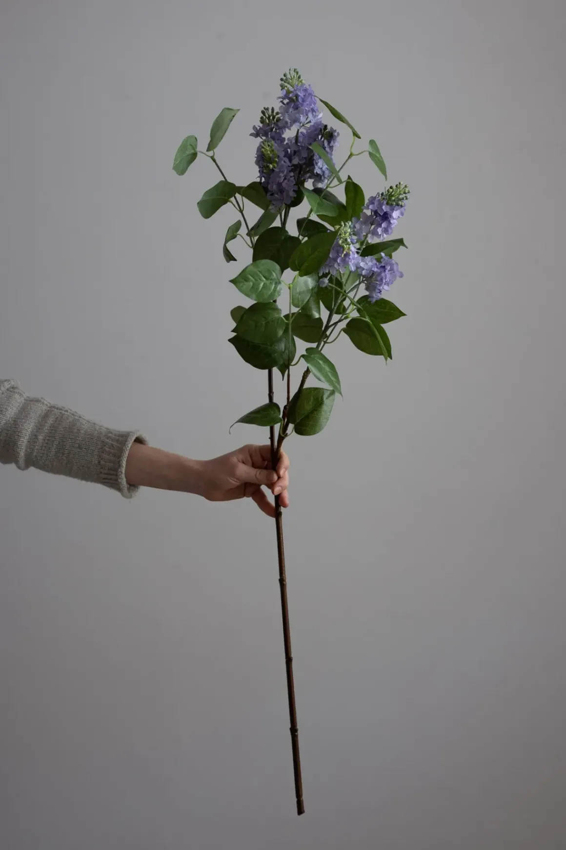 Blomst - Syrin H100cm