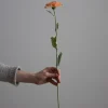 Blomst - Zinnia H45cm