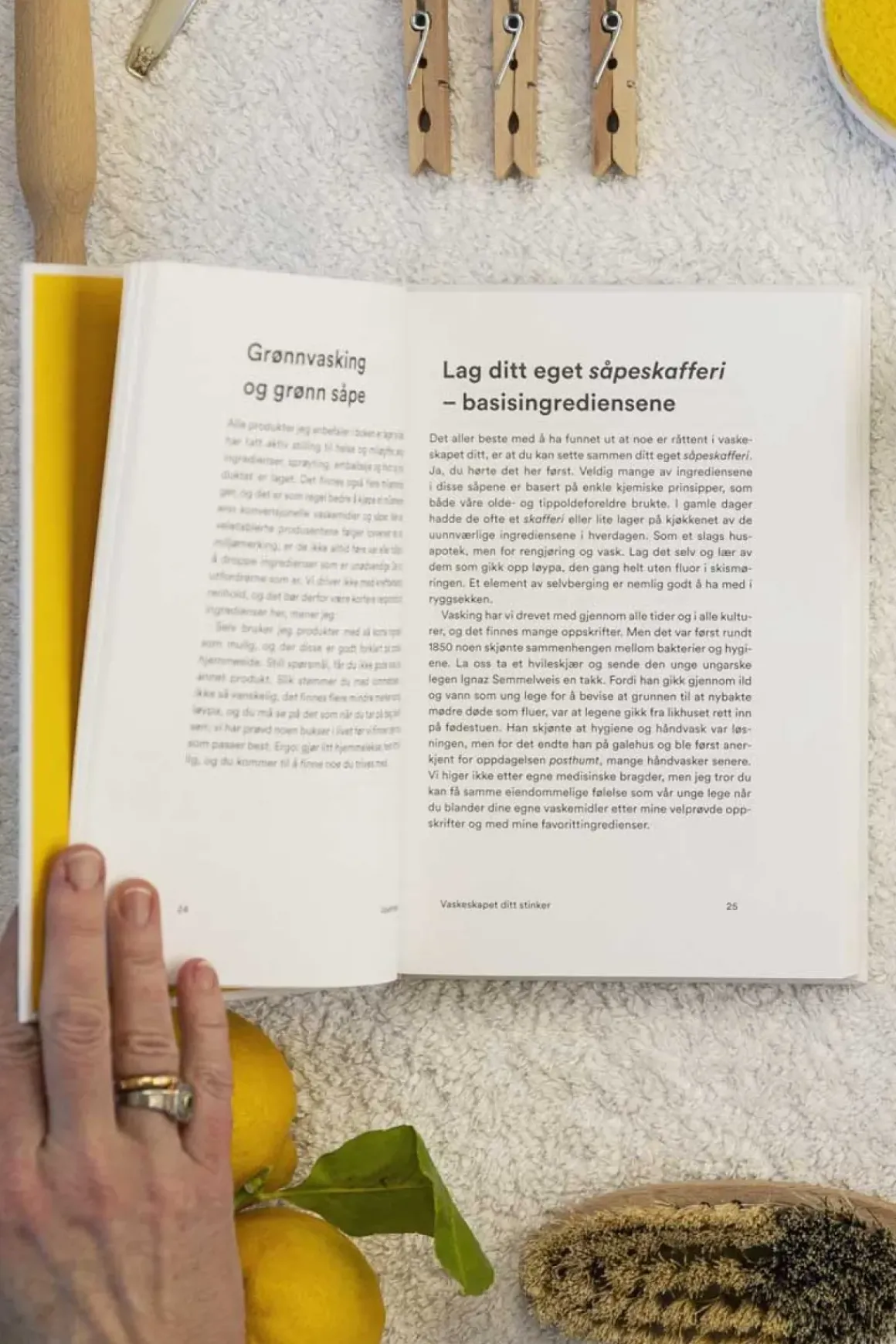Bok - Vaskehjelpen