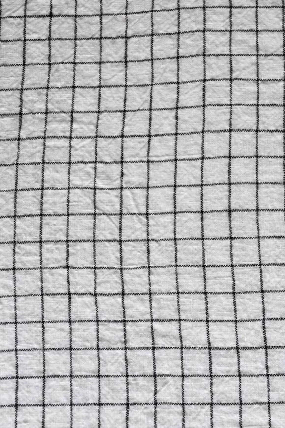 Duk - White/Black Checks