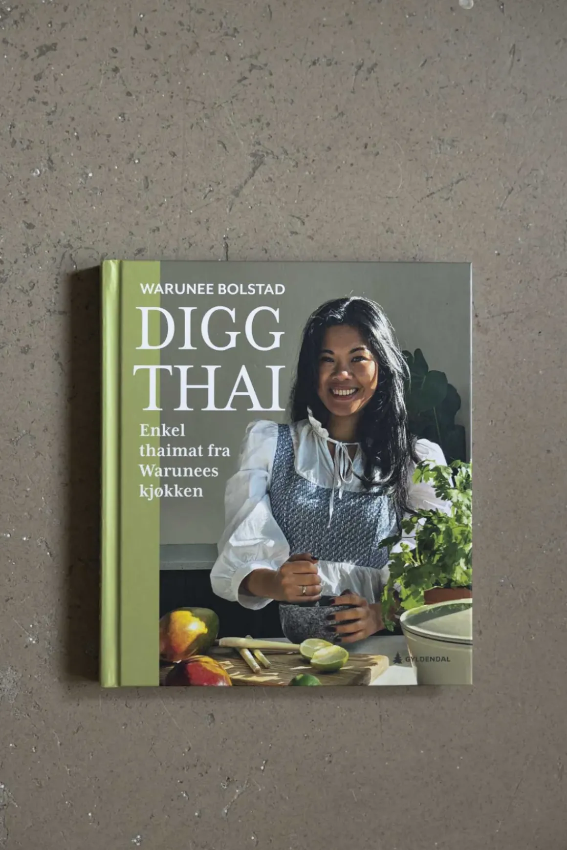 Kokebok - Digg Thai