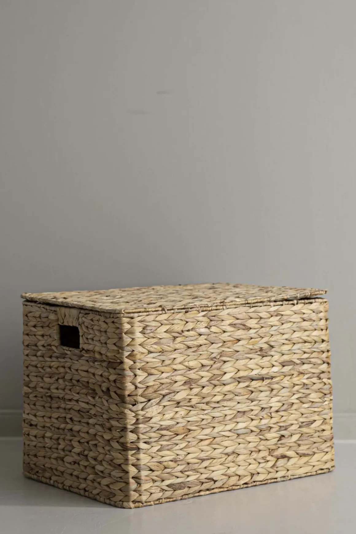 Kurv - Lily m/Lokk 37x50xH34cm
