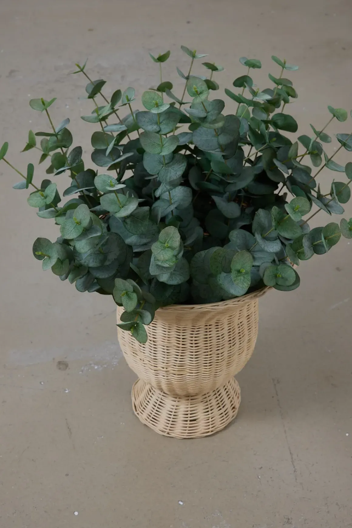 Kurv - Wicker Dora Pot High