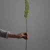 Kvist - Revehale 75cm
