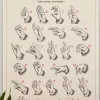 Plakatlist - Eik 31cm