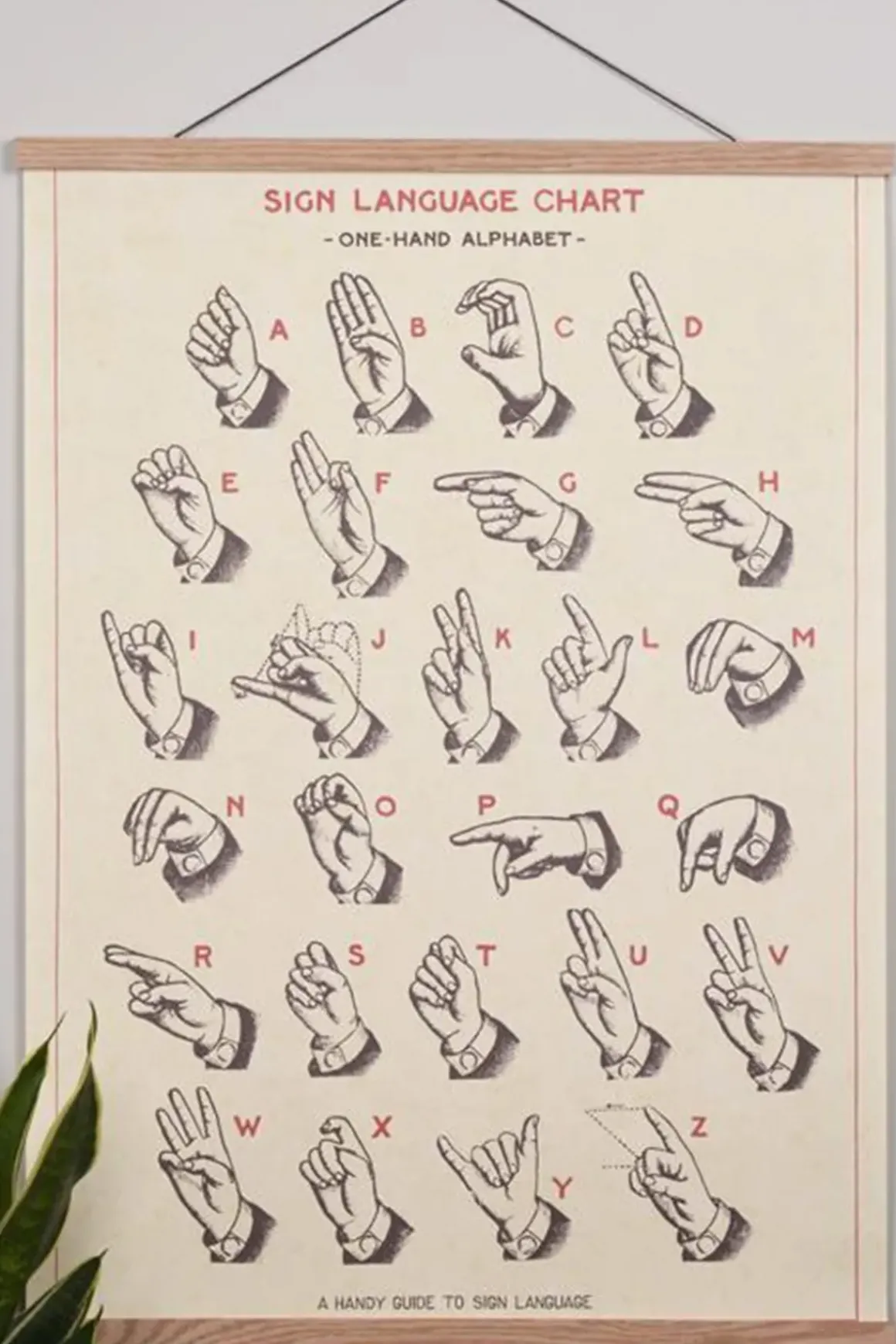 Plakatlist - Eik 51cm