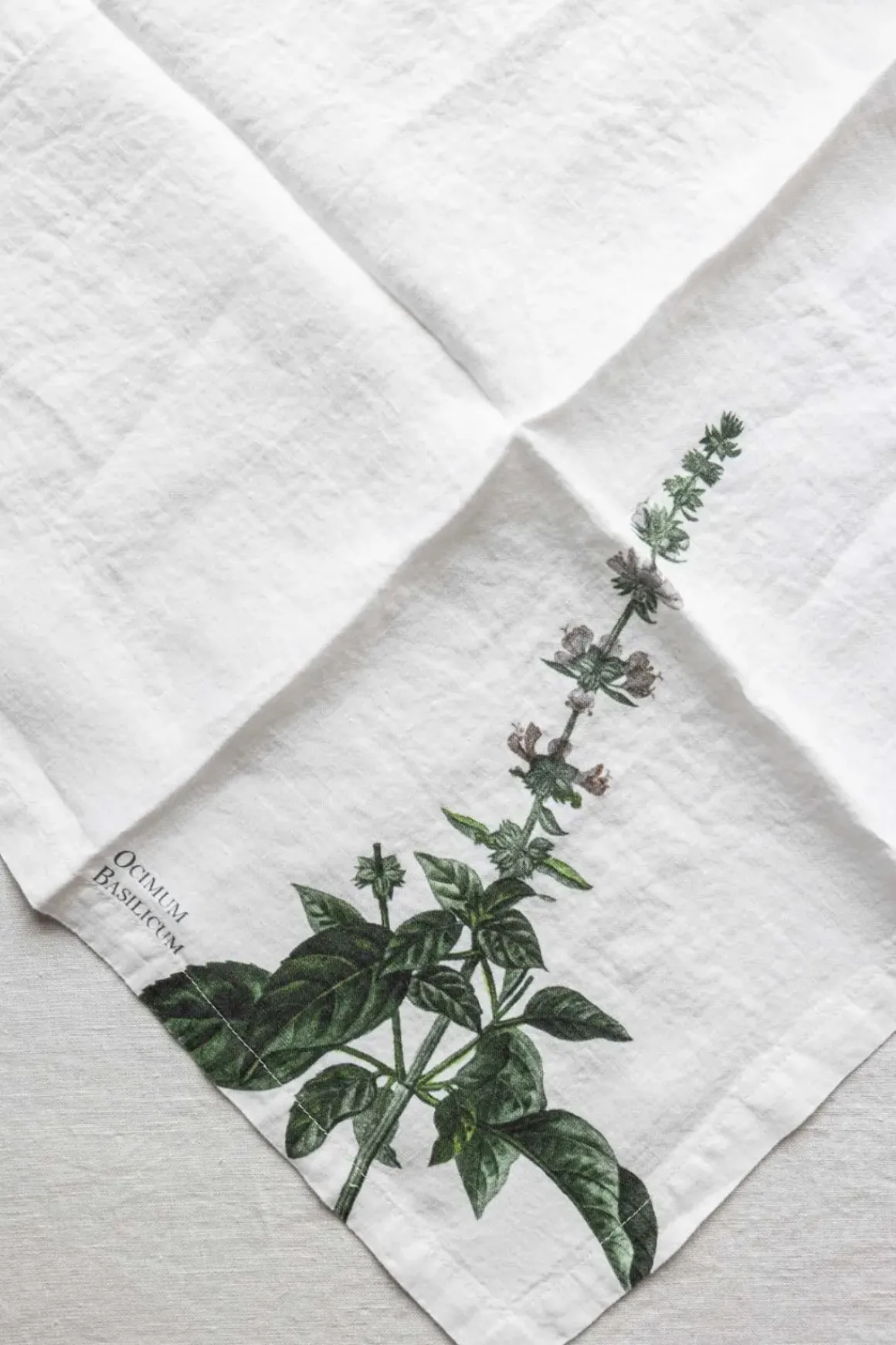 Tøyserviett - Aromatic Herbs 45x45cm Basilikum