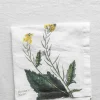 Tøyserviett - Aromatic Herbs 45x45cm Raps