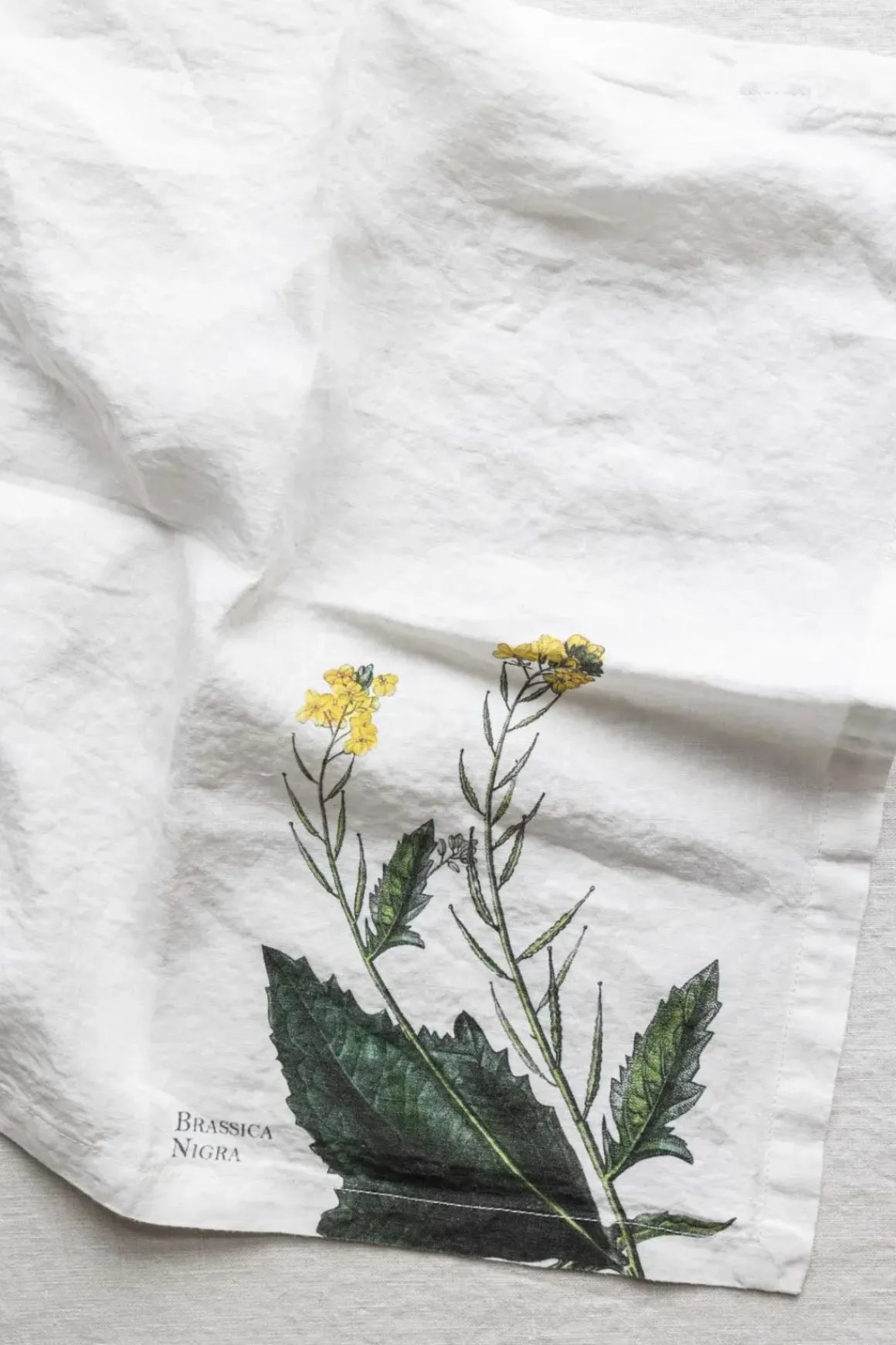 Tøyserviett - Aromatic Herbs 45x45cm Raps