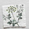 Tøyserviett - Aromatic Herbs 45x45cm Persille