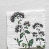 Tøyserviett - Aromatic Herbs 45x45cm Oregano