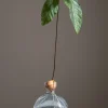 Vase - Avokado Klar