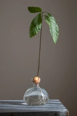 Vase - Avokado Klar
