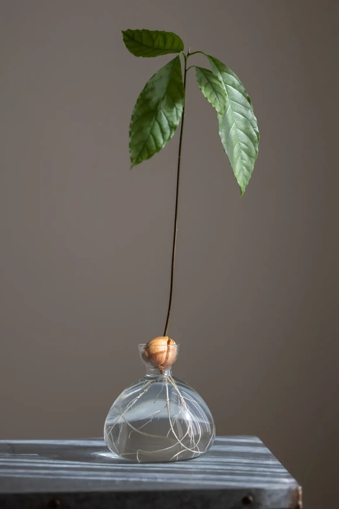 Vase - Avokado Klar