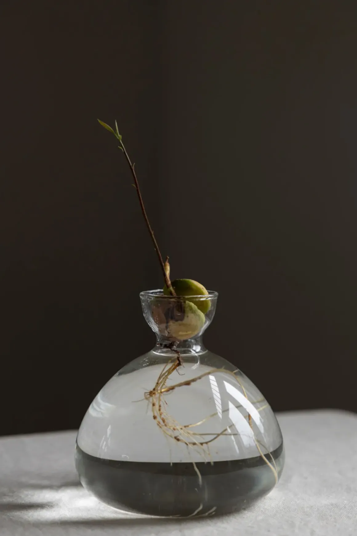 Vase - Avokado Klar