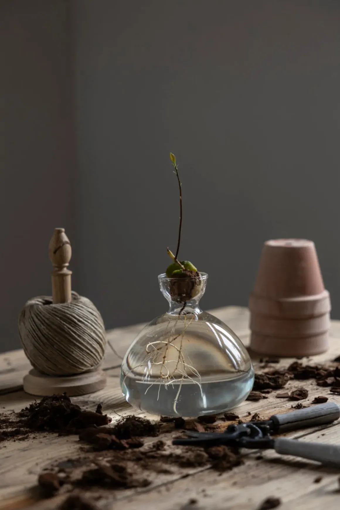 Vase - Avokado Klar