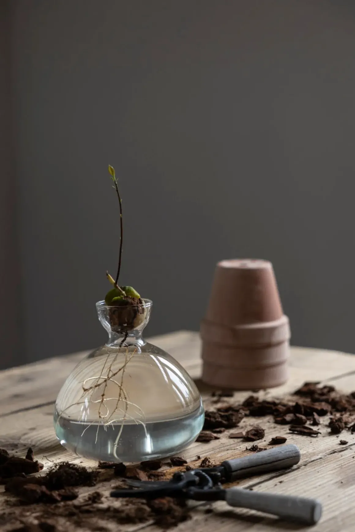 Vase - Avokado Klar