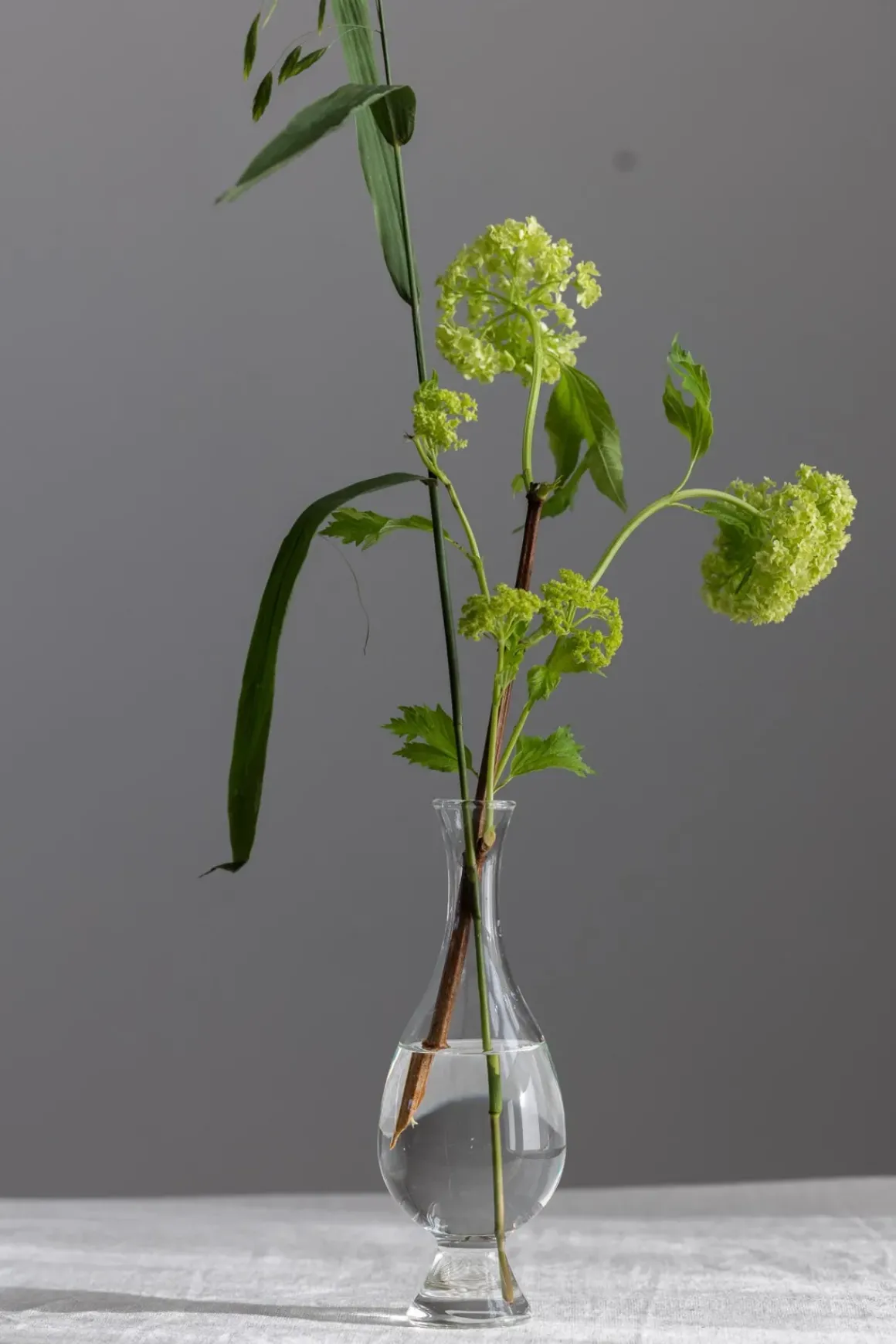 Vase - Como L