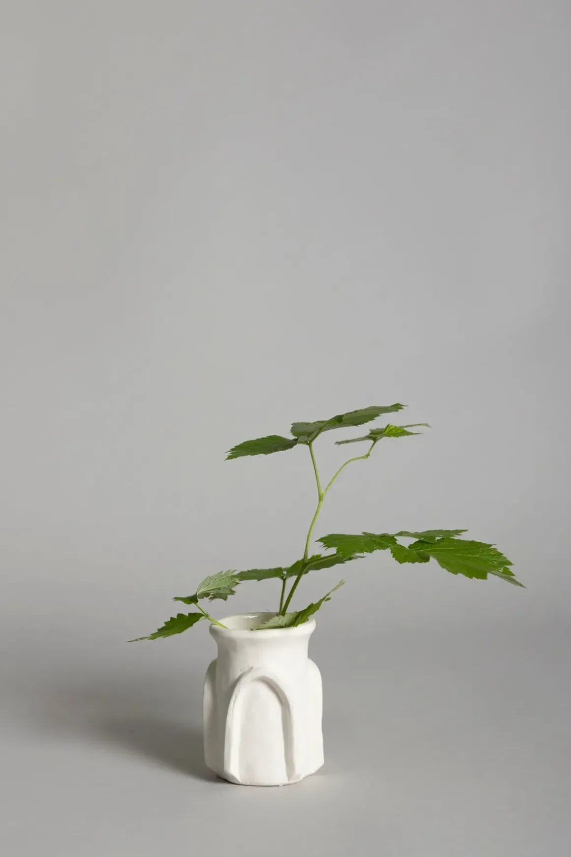 Vase | Molly Beige No2